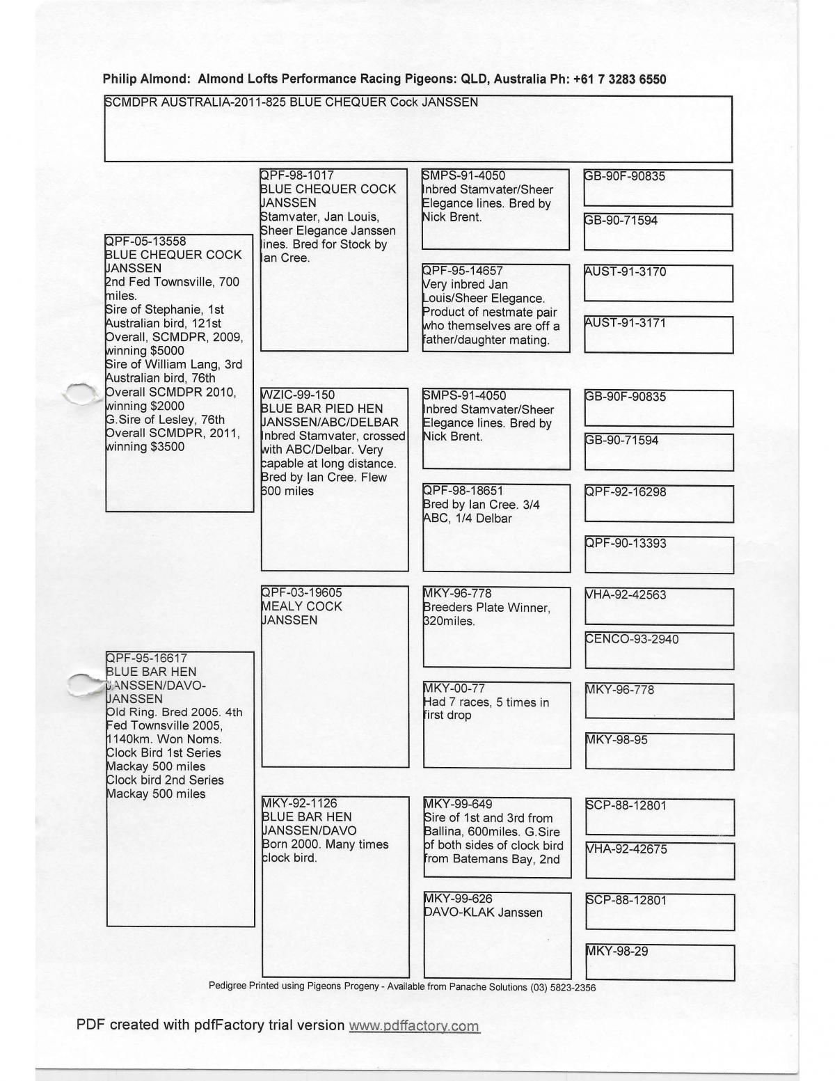 Lot 4 NRC 17 4065 BCP Cock Janseen/Rutz / Diamond Pigeon Auctions
